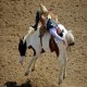 اسب سواری بر روی اسب وحشی در کالیفرنیا امریکا