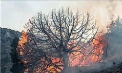 آتش‌سوزی در جنگل‌های میاندورود