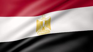 مصر شورای امنیت را در جریان حمله به لیبی قرار داد