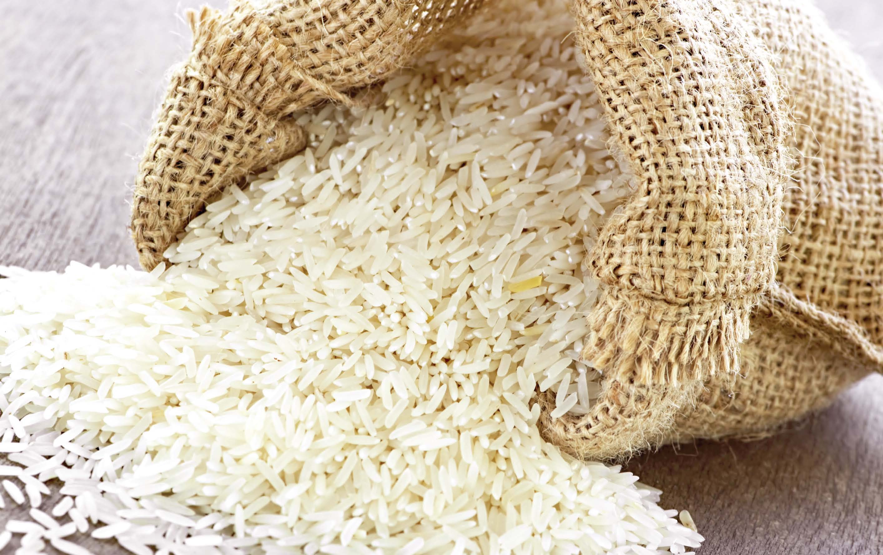 قیمت هر کیلو برنج به 2 دلار نزدیک می شود؟/ دولت بازار را رها کرده است!