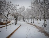 بارش برف در البرز و تهران